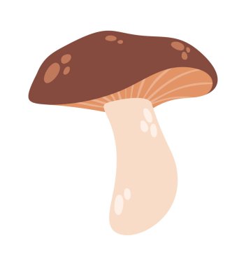 Şirin kavak mantarı orman mantar tasarım elementi