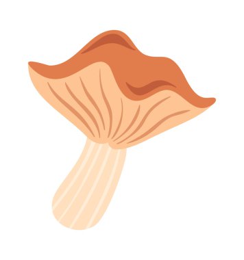 Şirin Chanterelle mantarı botanik dekoratif tasarım elementi