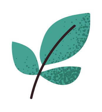 Makarna etiketi için yeşil fesleğen yaprakları