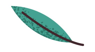 Fesleğen yaprağı pizza baharat etiketi doğal grafik