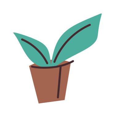 Konforlu ev tasarımı için çiçek saksısı