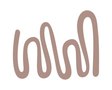 Dalgalı çizgi boho tasarım dekoratif ögesi