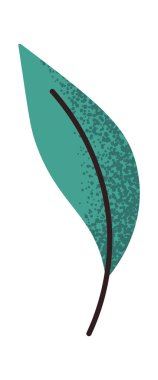 Taze yeşil organik bitki çayı yaprağı çıkartması.