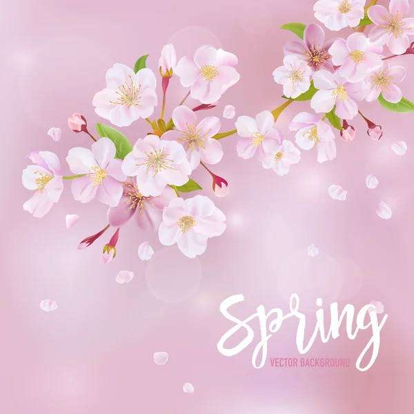 Fondo de primavera de flor de cerezo - en vector — Vector de stock