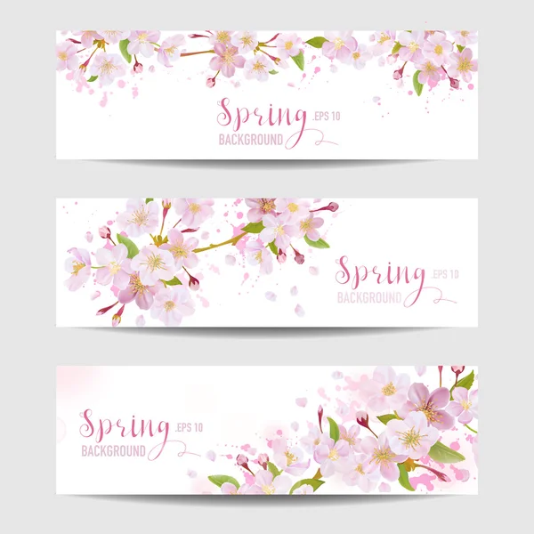 Conjunto de banner de flor de primavera - árvore de flor de cereja - em vetor —  Vetores de Stock