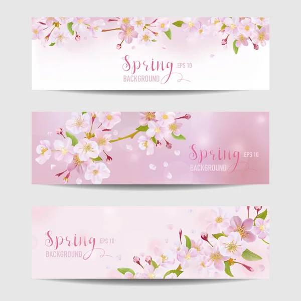 Våren blomma Banner Set - Cherry Blossom träd - i vektor — Stock vektor