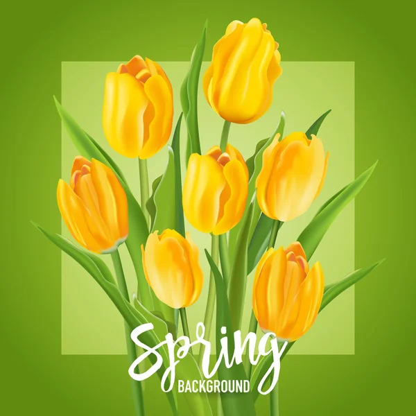 Fondo de flores de primavera - con tulipanes - en vector — Vector de stock