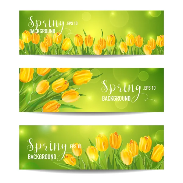 Spring Flower Banner Set - with Colorful Tulips - in vector — Stock Vector