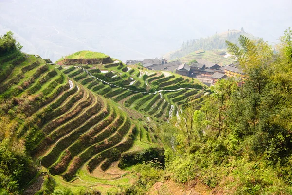 Terrazas de arroz Longji — Foto de Stock