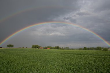 Gökkuşağı yeşil alan