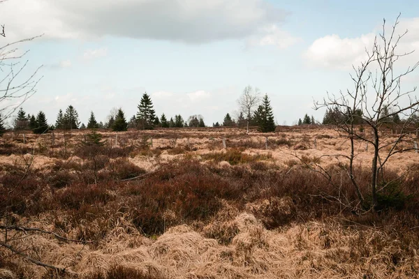 High Fens Hoge Venen Belgium Signal Van Botrange — Stock Fotó