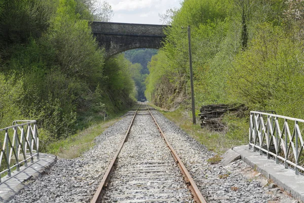 Línea Recta Ferrocarril Que Hacia Horizonte — Foto de Stock