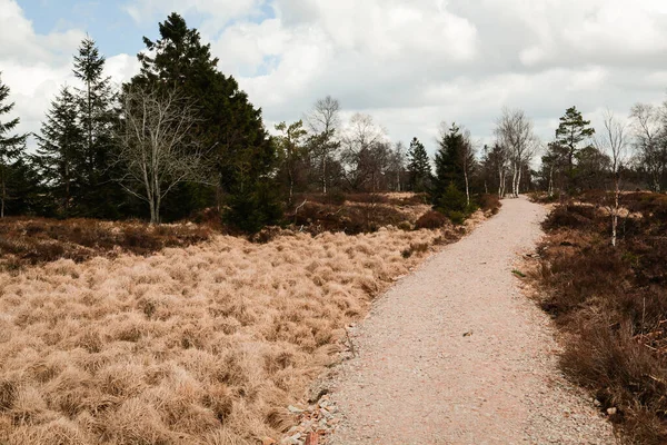 High Fens Hoge Venen Belgium Signal Van Botrange — Stock Fotó