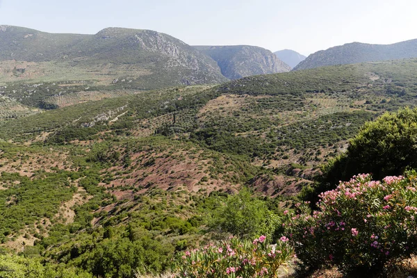 Famoso Monasterio Bizantino Hosios Loukas Grecia Central — Foto de Stock