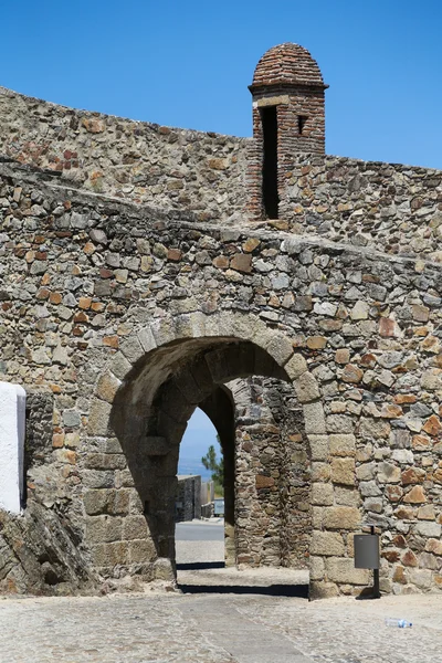 MarvaoFiliale Tanne und box — Stockfoto