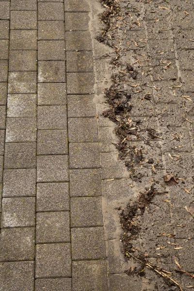 yüksek basınçlı temizlik