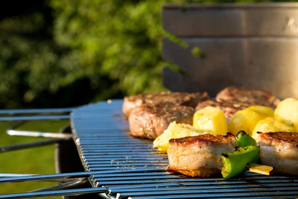 Barbacoa en el jardín —  Fotos de Stock