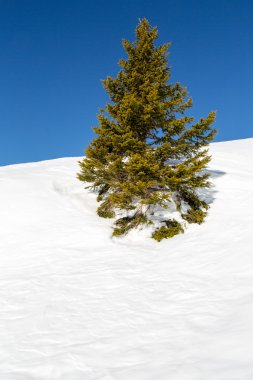 Kış Alps
