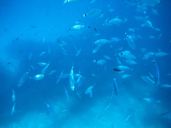 Cala Gonone Bach — Fotografia de Stock