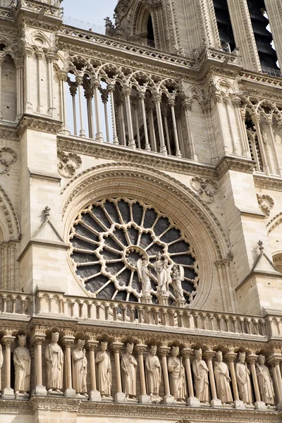 Notre Dame Paris — Stok fotoğraf