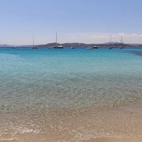 Maddalena Strand Sardinen — Stockfoto