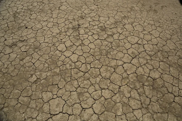 Textura da terra seca — Fotografia de Stock