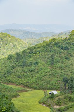 Gökyüzü, orman ve dağlar.