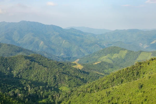 天空、 森林和山. — 图库照片