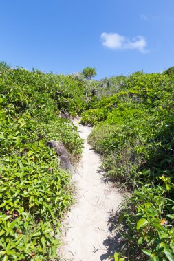 Bakış açısı için küçük bir adada geçiş.