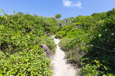 Bakış açısı için küçük bir adada geçiş.