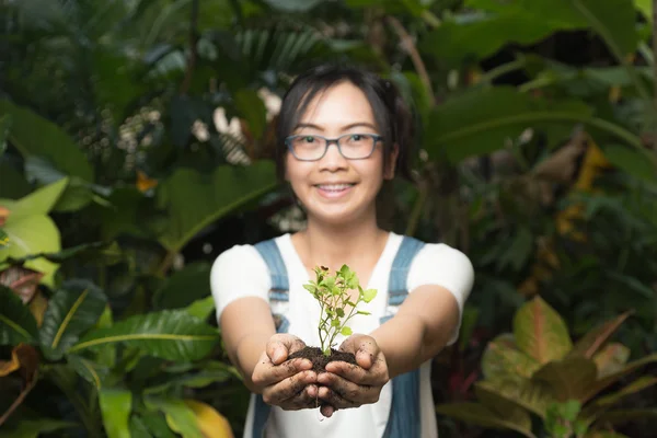 Frau hält Baum — Stockfoto