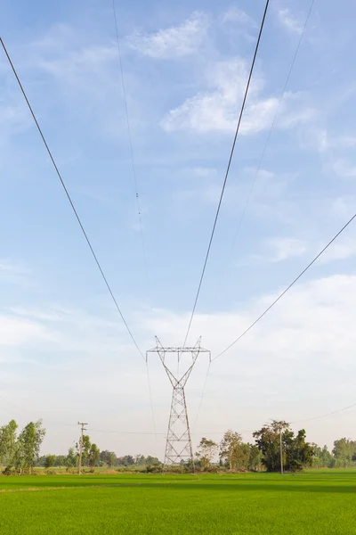 Linhas de transmissão de eletricidade em campos de arroz — Fotografia de Stock