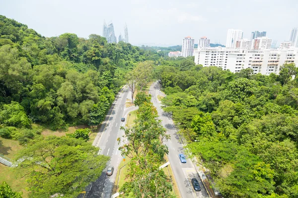 Cesta parkem v Singapuru. — Stock fotografie