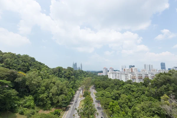 Cesta parkem v Singapuru. — Stock fotografie