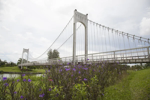 Seilbrücke — Stockfoto