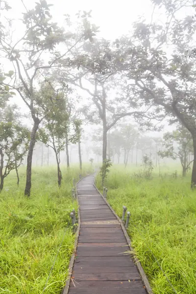 Houten brug wandelpad — Stockfoto