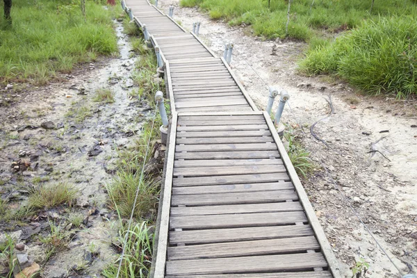 Fußgängerbrücke zum Berg — Stockfoto