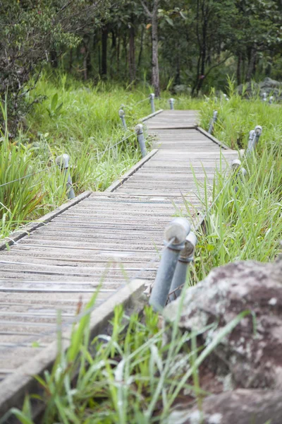 Passerella da ponte a montagna — Foto Stock