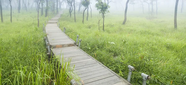 Houten brug wandelpad — Stockfoto