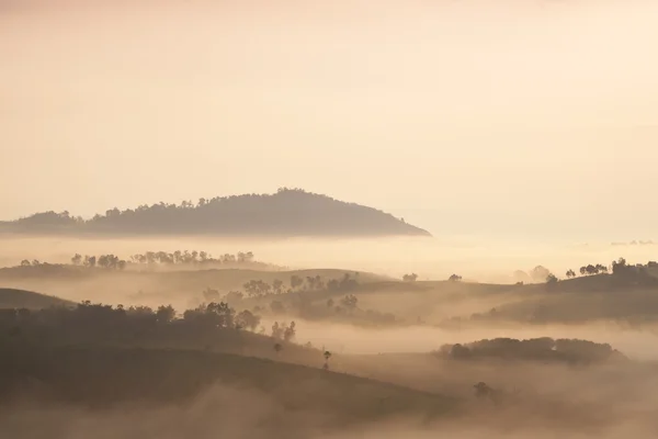 Mountain and fog in the morning — Stock Photo, Image