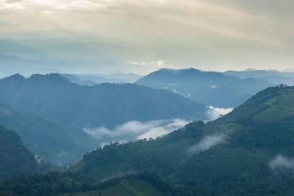 Горы покрыты туманом — стоковое фото