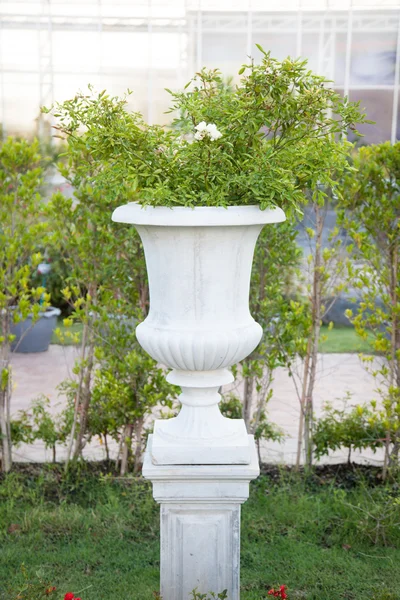 Jardiniere branco — Fotografia de Stock
