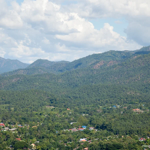 Bergskog — Stockfoto