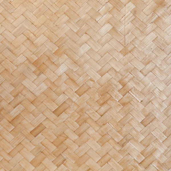 Splot bambusa — Zdjęcie stockowe