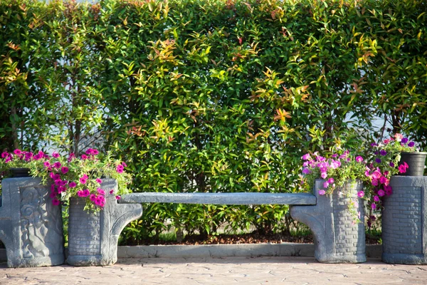 Banken en sierbomen — Stockfoto