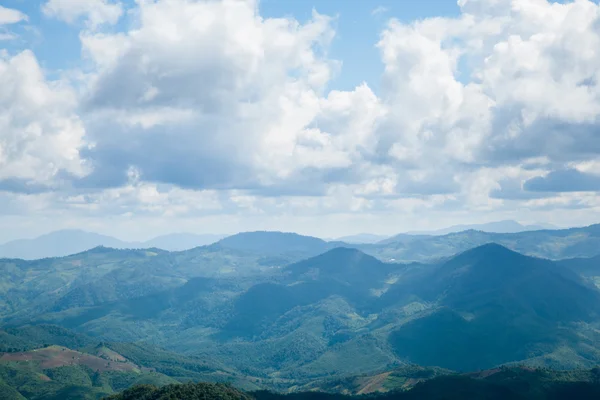 Montañas y bosques —  Fotos de Stock