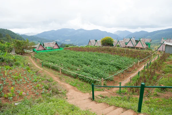 小屋被栽在农业地区附近. — 图库照片