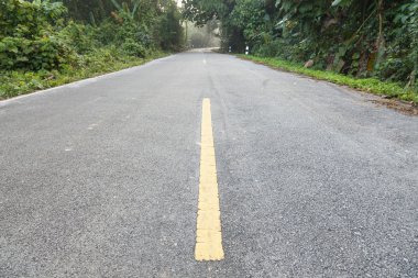 dağa yönelik yol