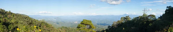 Panorama Wald und Himmel. — Stockfoto