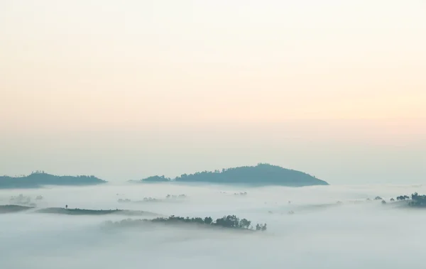 Niebla cubierta montañas y árboles —  Fotos de Stock